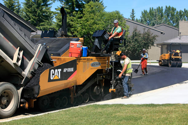 Best Interlocking Driveway Pavers  in Raton, NM